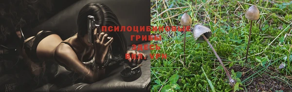 apvp Балабаново