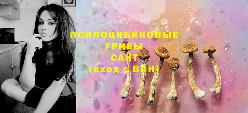 гидра ссылки  Иланский  Галлюциногенные грибы Magic Shrooms 